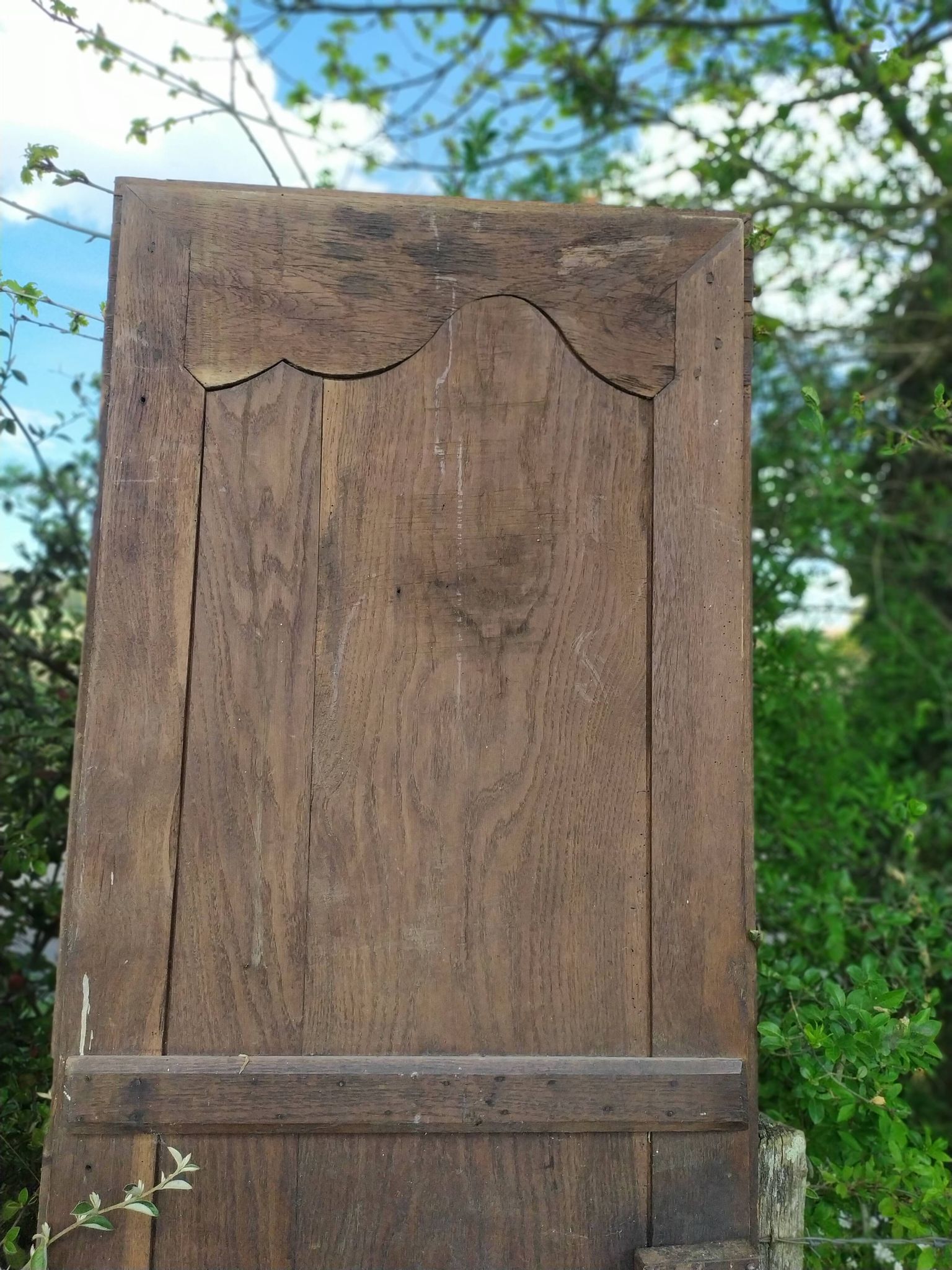 Portes d'armoire en chêne