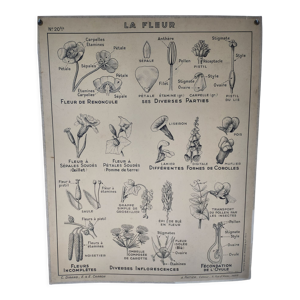 Affiche pedagogique a.hatier 20