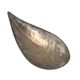 Silver-plated shell shaped great bowl,  Renato Raddi, Italy 1970s