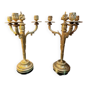 Pair of gilded bronze candelabra