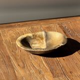 Dark beige oval petrified wood bowl 25x19 - 3782