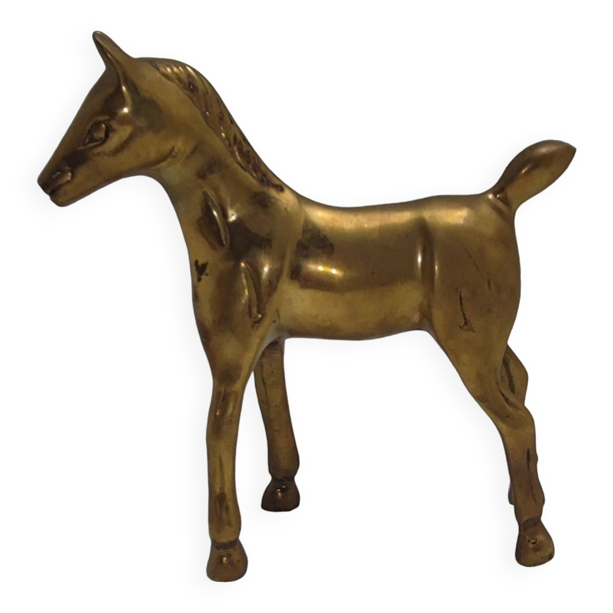 Brass foal