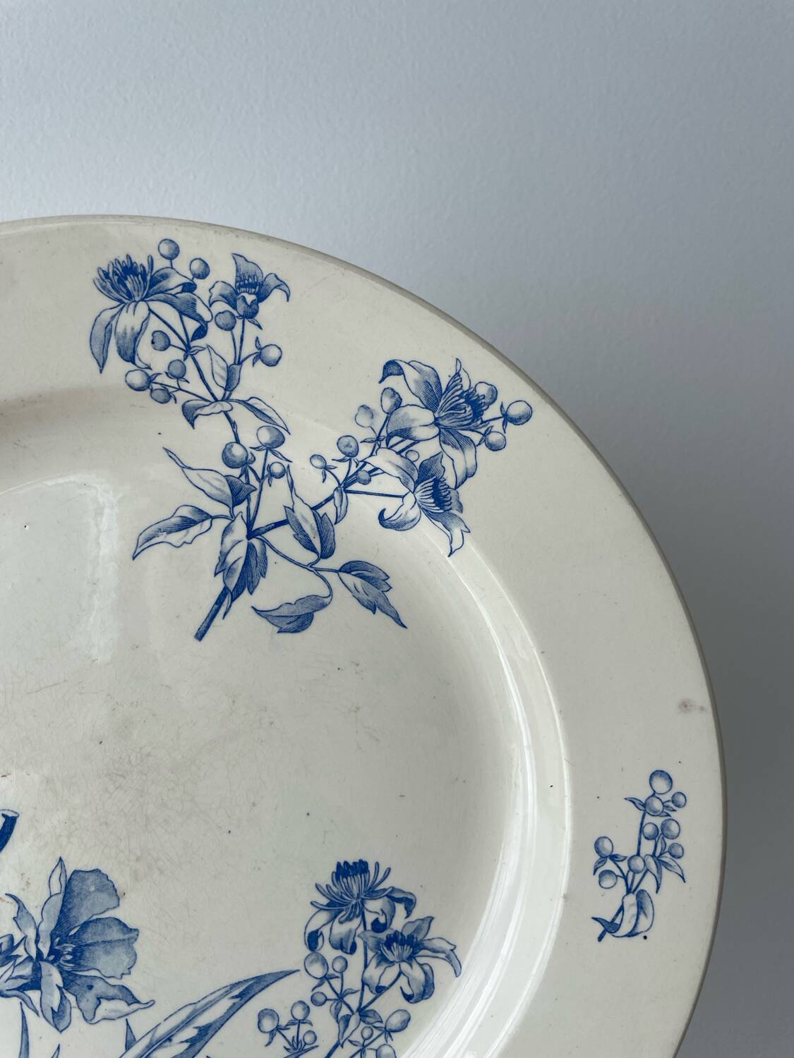 Assiette Boch Frères Keramis Pétunia