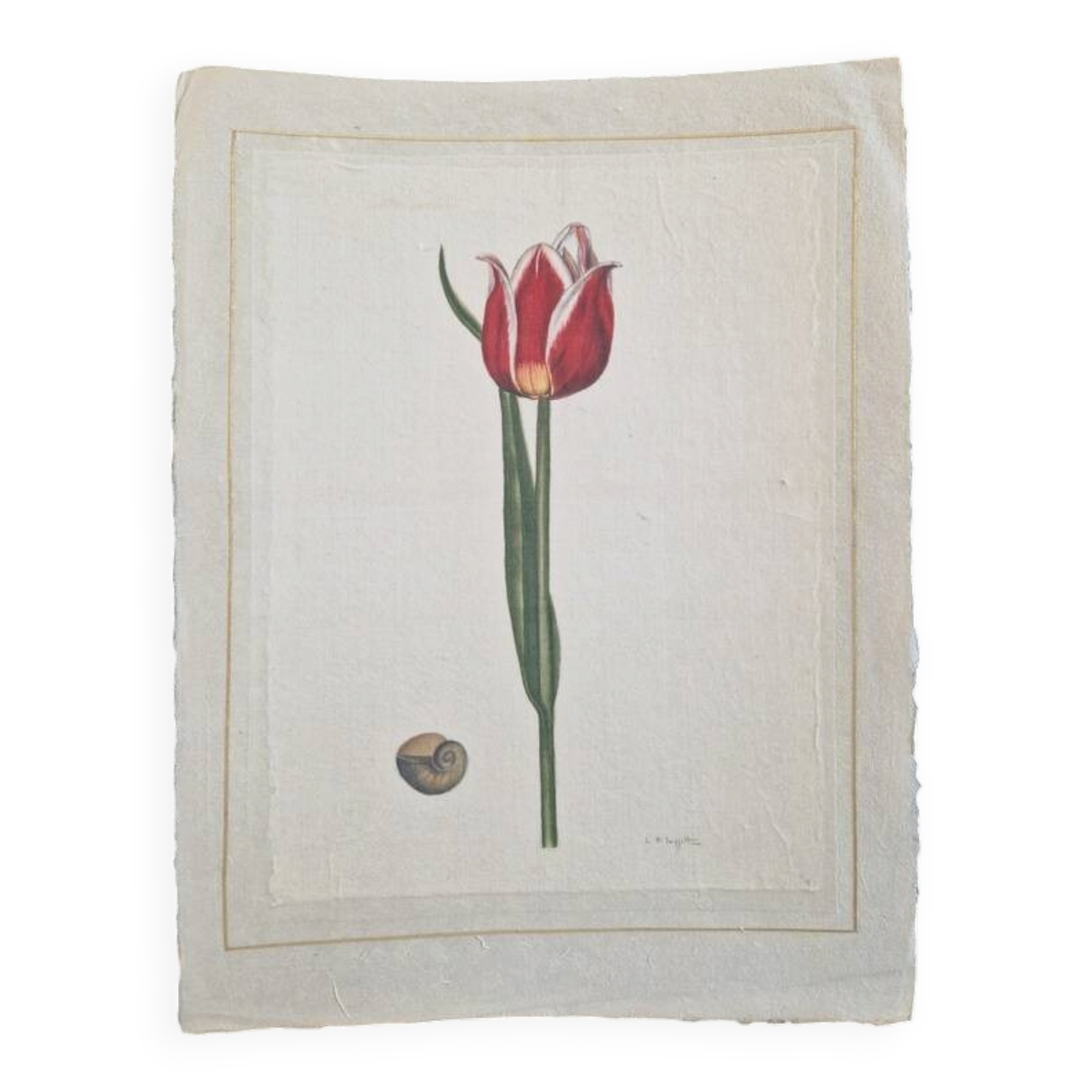 La Roche Laffitte (Born in 1943) - Watercolour drawing on silk - Tulip