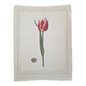 Dessin à l'aquarelle - soie