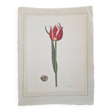 La Roche Laffitte (Born in 1943) - Watercolour drawing on silk - Tulip