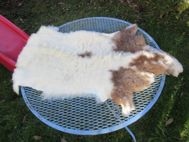 Sheepskin