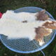Sheepskin