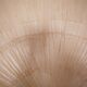 Large-format Uchiwa light fixture designed by Ingo Maurer