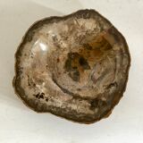 Petrified wooden ashtray