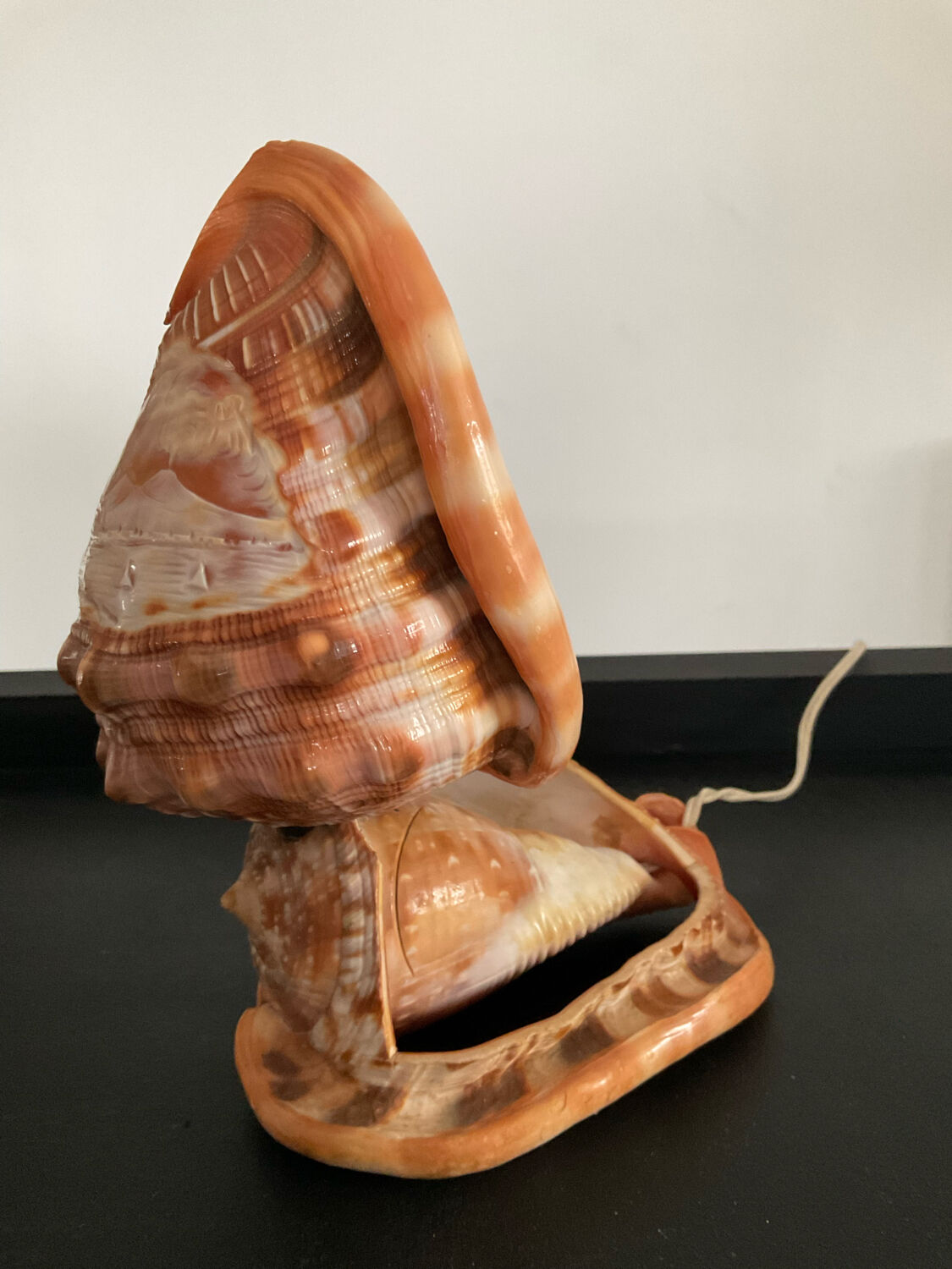 Vintage shell lamp from the 50s-60s