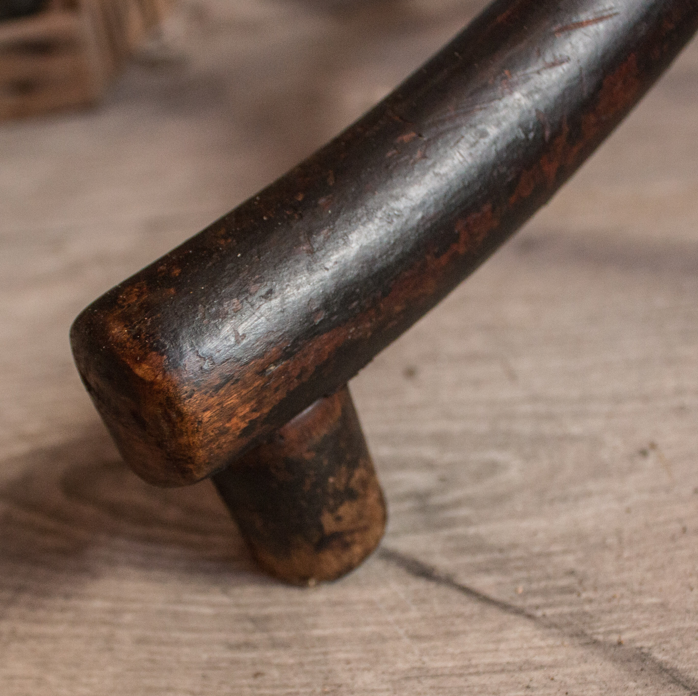 Parrot Thonet bentwood coatrack