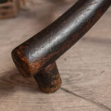 Parrot Thonet bentwood coatrack