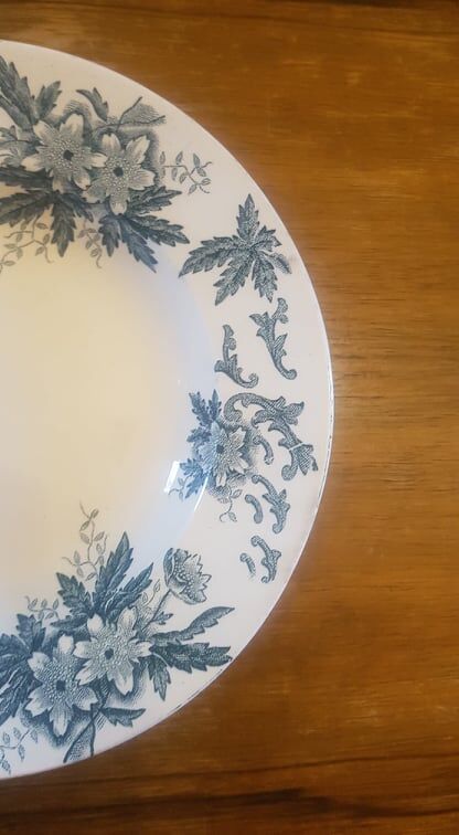 Plate in Iron Earth Saint Amandinoise model Anémone