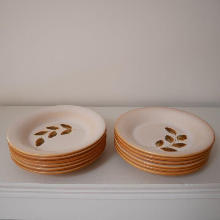 Lot 12 hollow plates in varnished sandstone, Cévennes model of Saint Amand