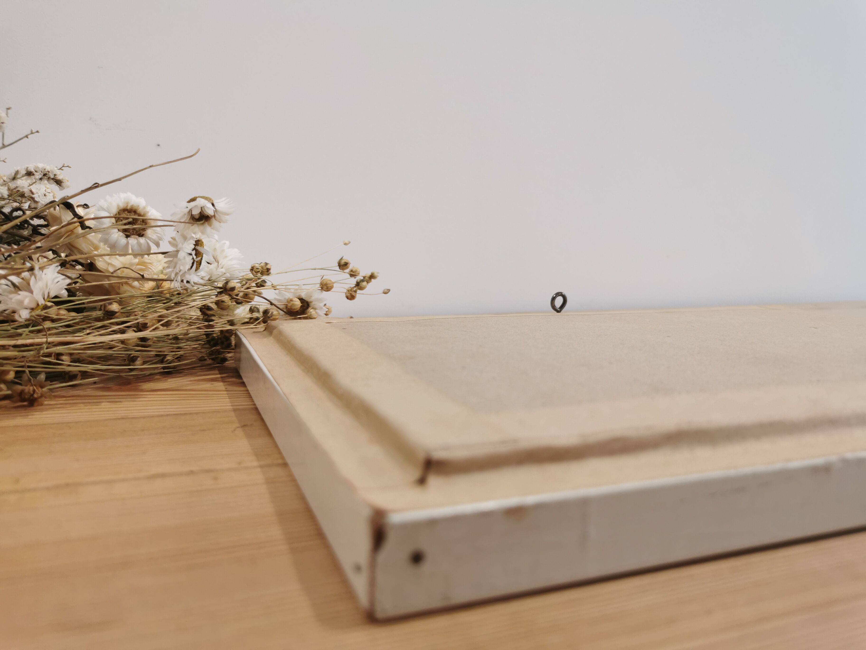 Vintage butterfly taxidermy frame