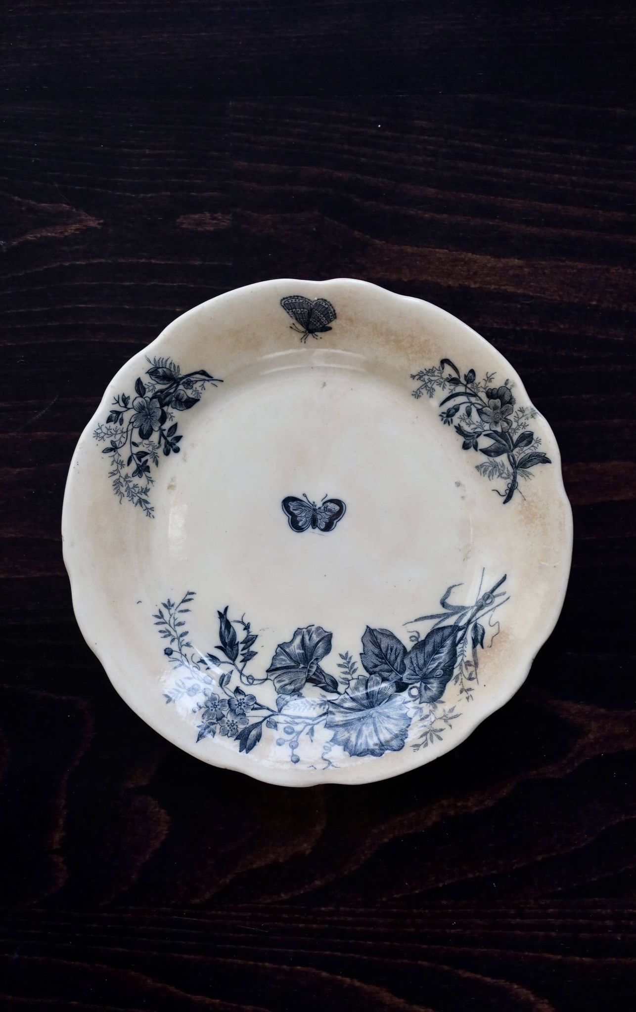 Antique flat plates, ironstone, Onnaing Nord - Floral and ribbon pattern.
