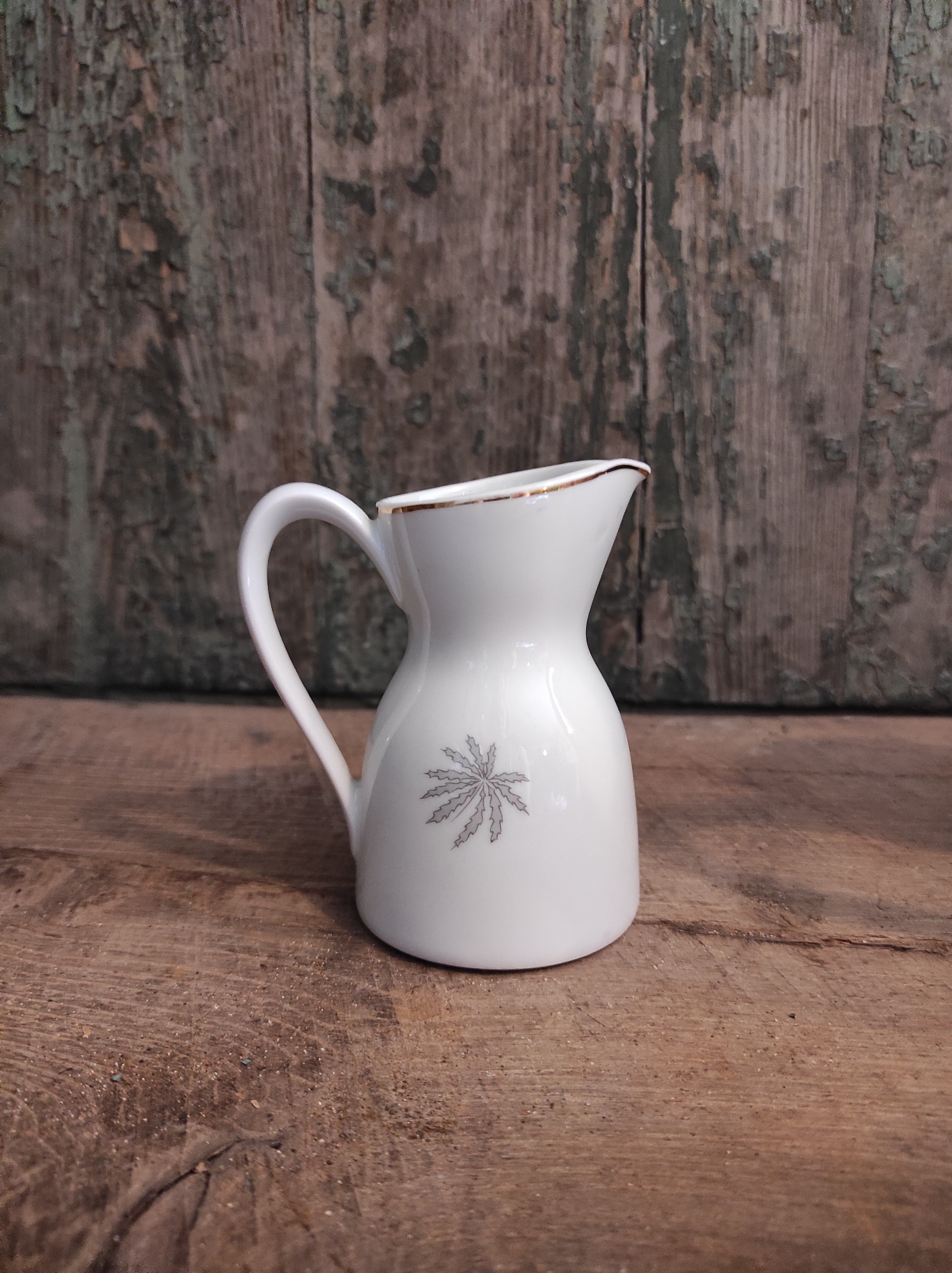 Vintage Mitterteich Bavaria porcelain coffee set