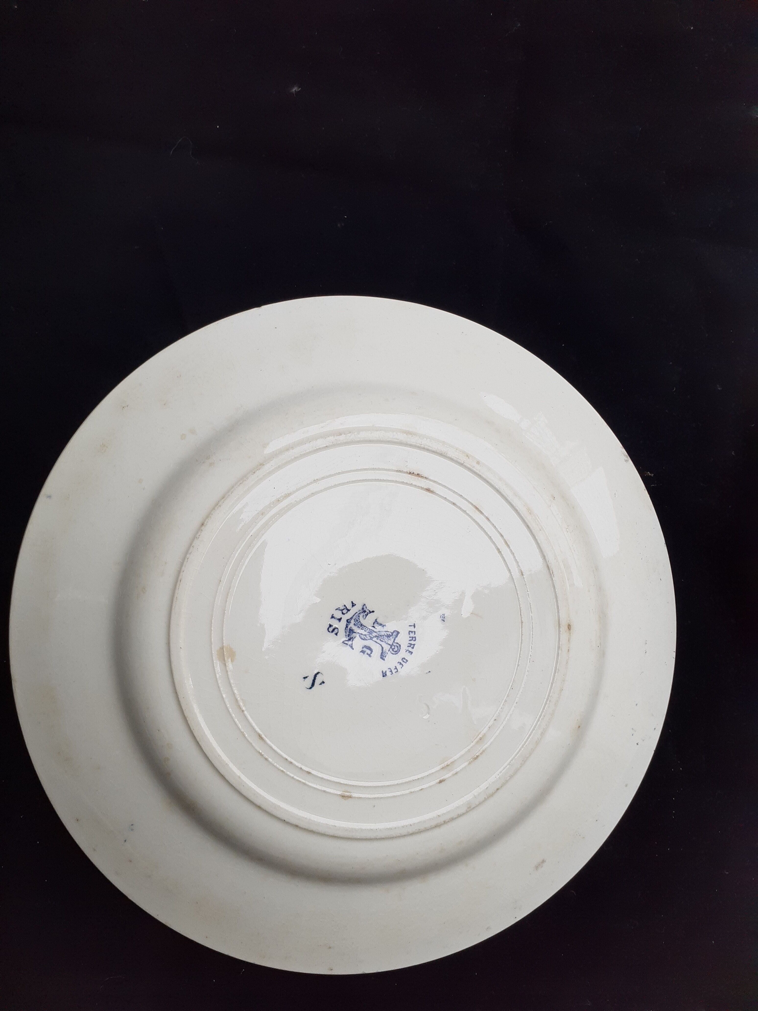 6 plates with dessert iris Clairefontaire