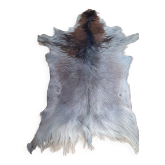 New goatskin