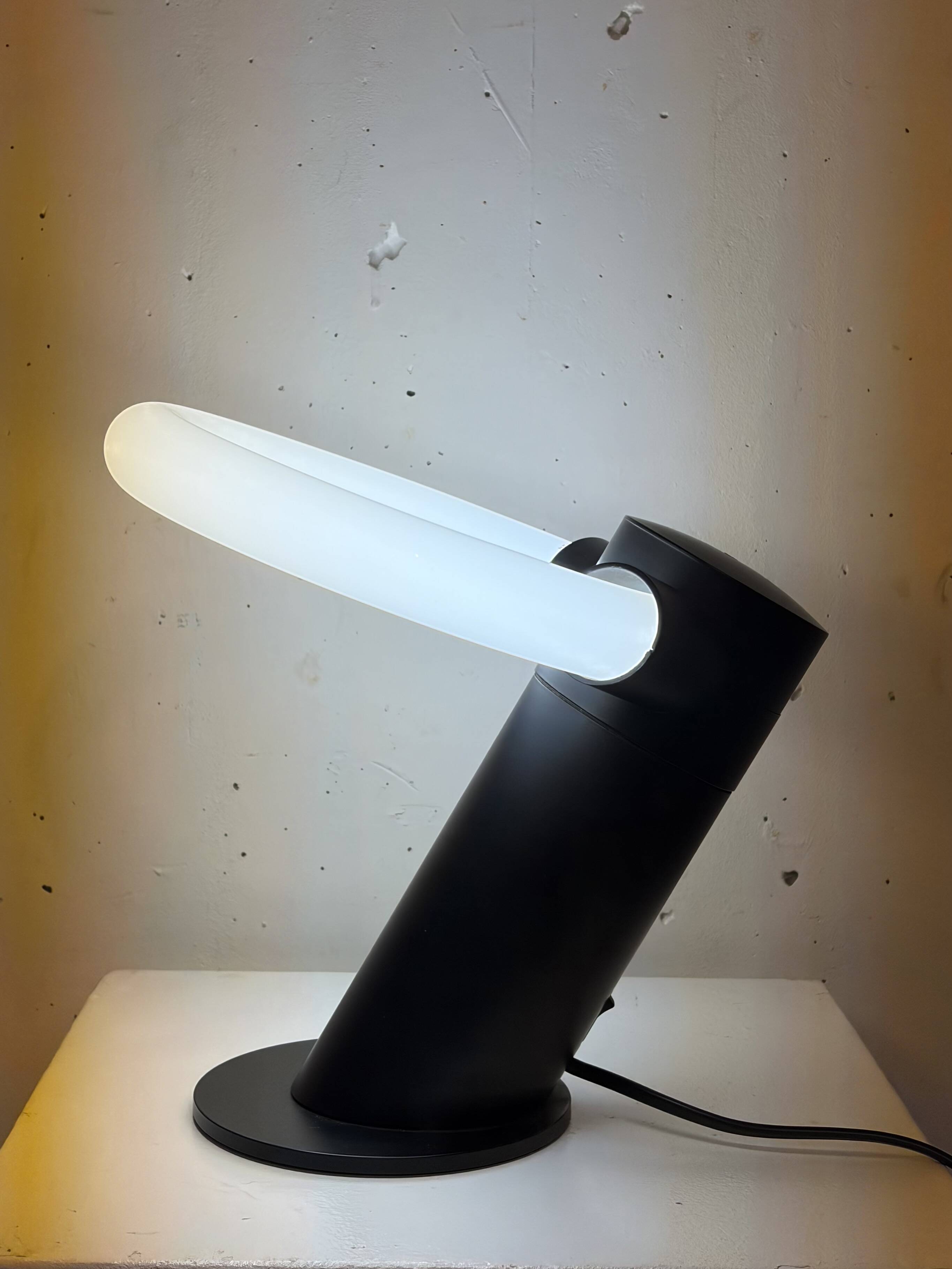 Lamp the saint, Frans van Nieuwenborg, 1996