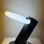Lampe the saint, Frans van Nieuwenborg, 1996