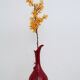Vase carafe élégante en verre rouge