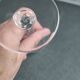 Verres cristal lalique