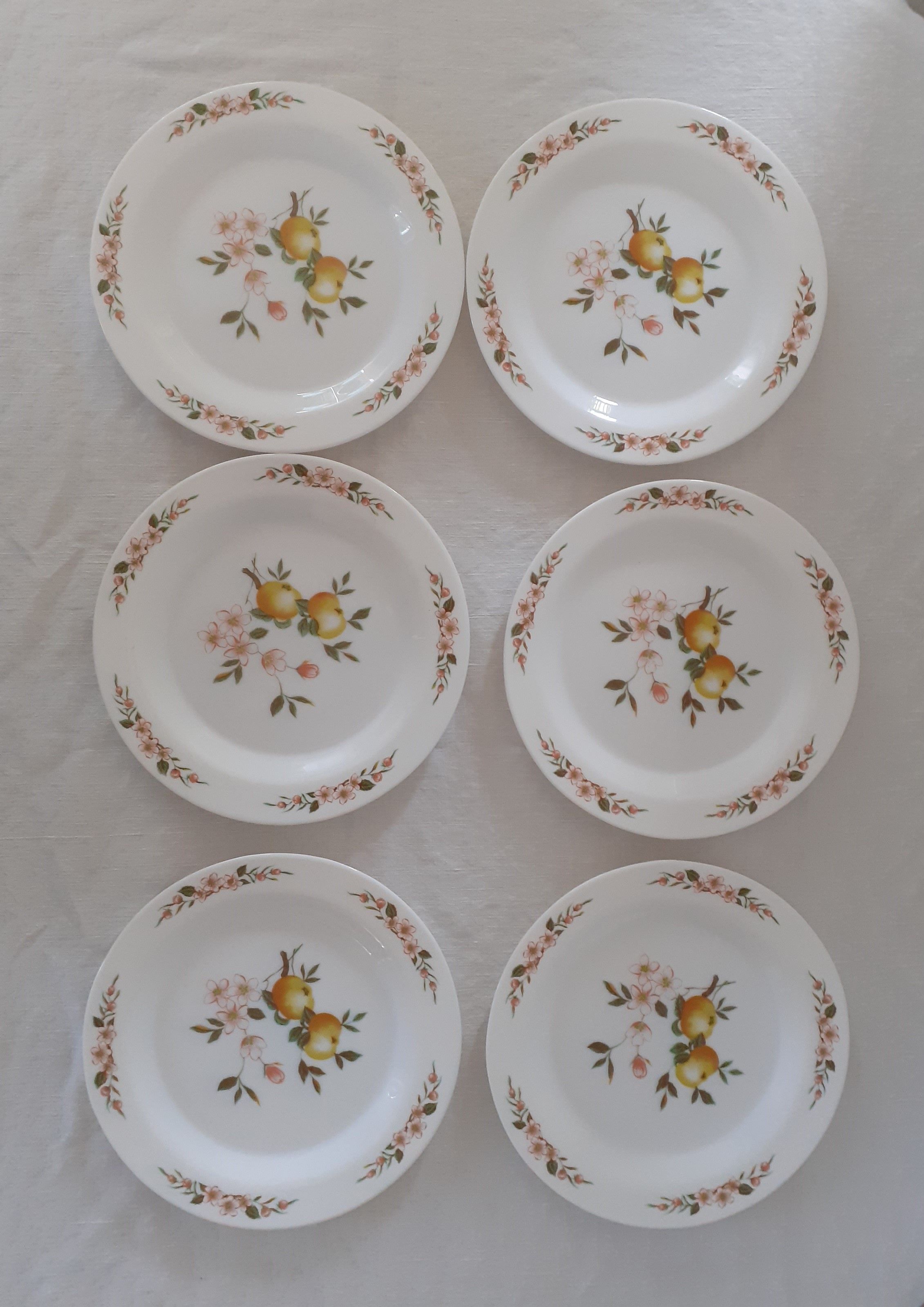 6 Flat plates Normandy apple decoration Arcopal france