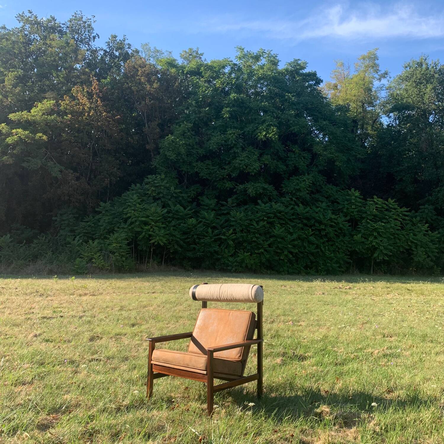 Brazilian rosewood armchair from the 60s, Tônico