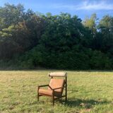 Brazilian rosewood armchair from the 60s, Tônico