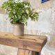 Workshop workbench in solid oak