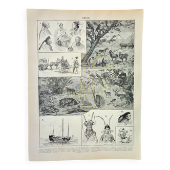 Gravure • Chine: faune, flore, tribu • Lithographie originale et vintage de 1898