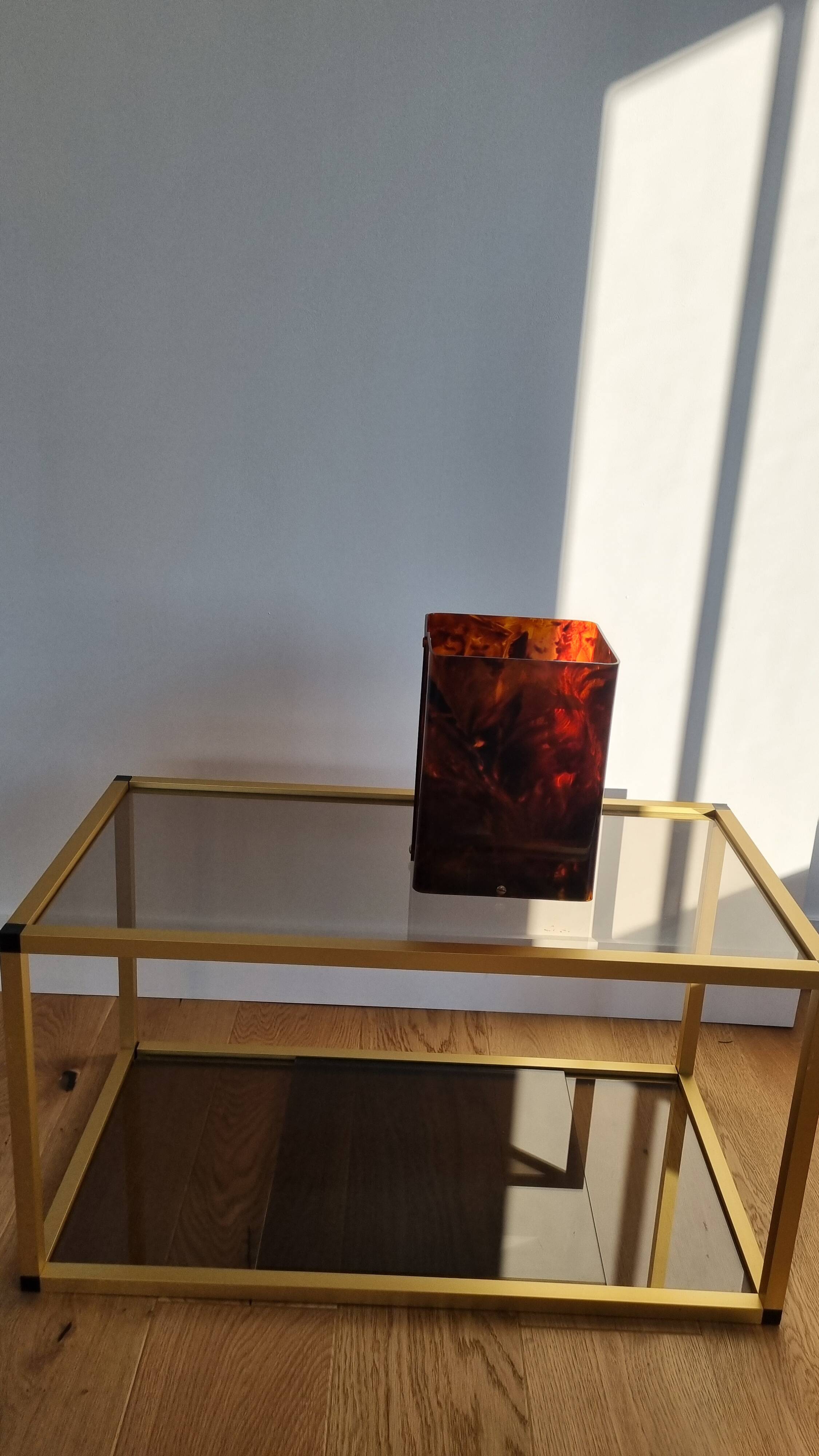 tortoiseshell plant pot