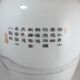 Grand vase en porcelaine famille rose Chinois Chine 20è siècle