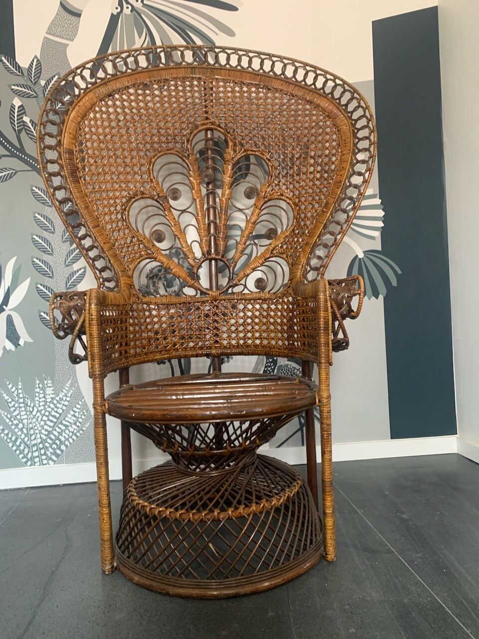 Fauteuil Emmanuelle Peacock
