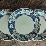 Set of 3 old John Tams flat plates