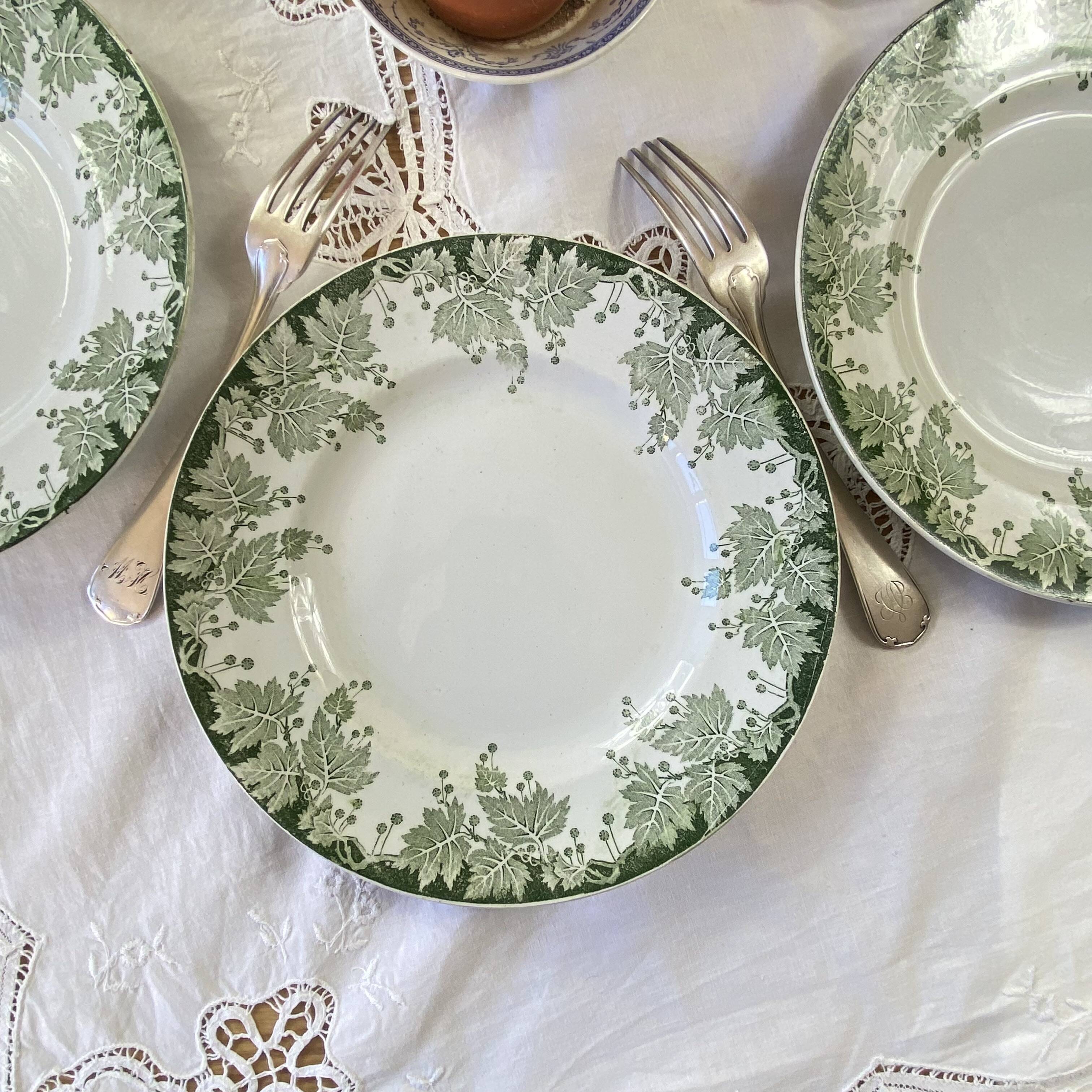 6 flat plates in ironstone from Saint Amand and Hamage, Platane green model.