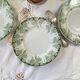 6 flat plates in ironstone from Saint Amand and Hamage, Platane green model.