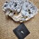 Corail bleu sur socle marbre noir