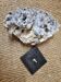 Blue coral on black marble base