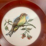 Porcelain and bakelite frame