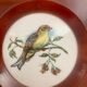 Porcelain and bakelite frame