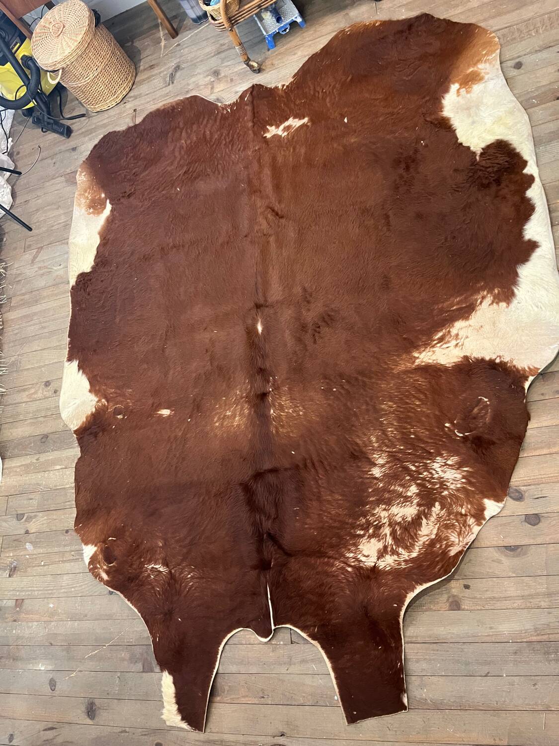 Cow rug