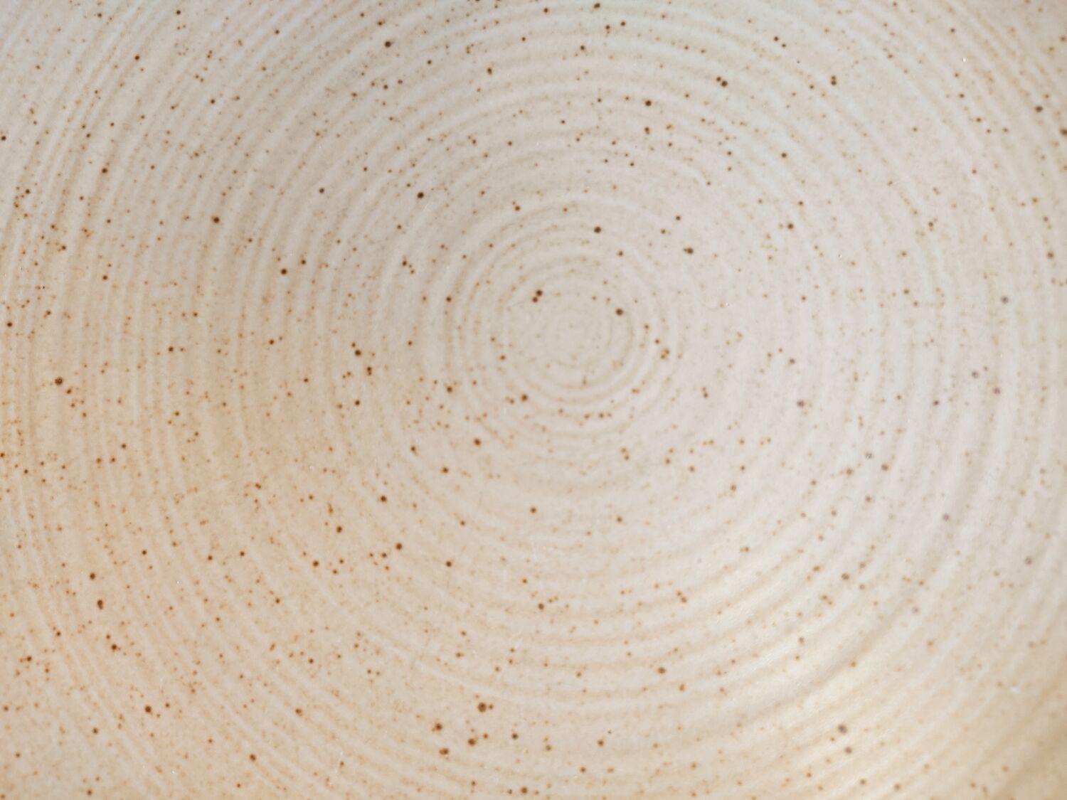 12 free-form speckled satin stoneware plates