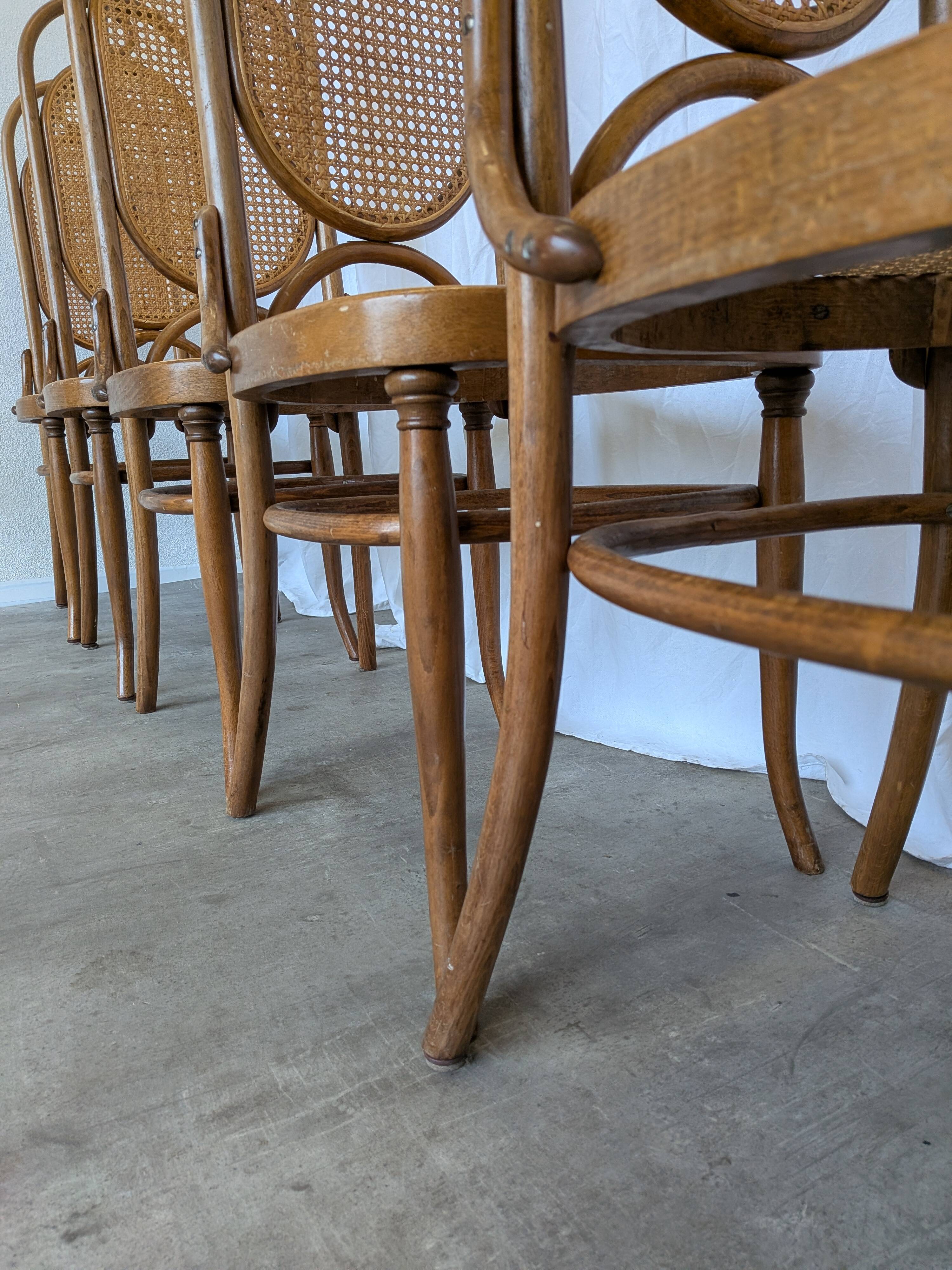 Set of 6 Vintage Bentwood Cane Dining Chair, Thonet Style, 1970s Yugoslavia
