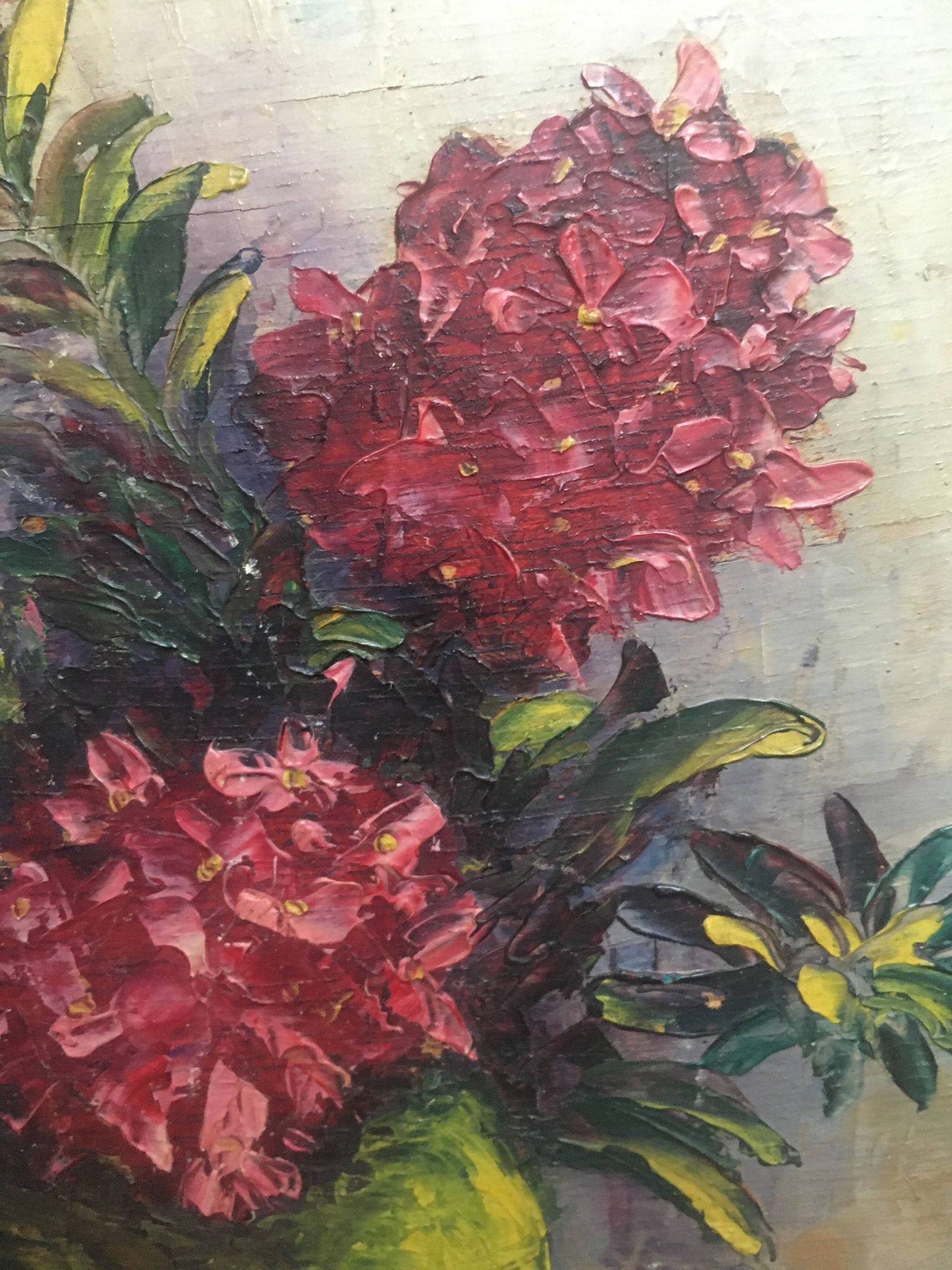 Paintings "roses of the alps" by Astrid Walford (1907-1984)