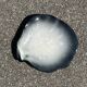 Grande assiette Pol Chambost vintage coquillage vide poche