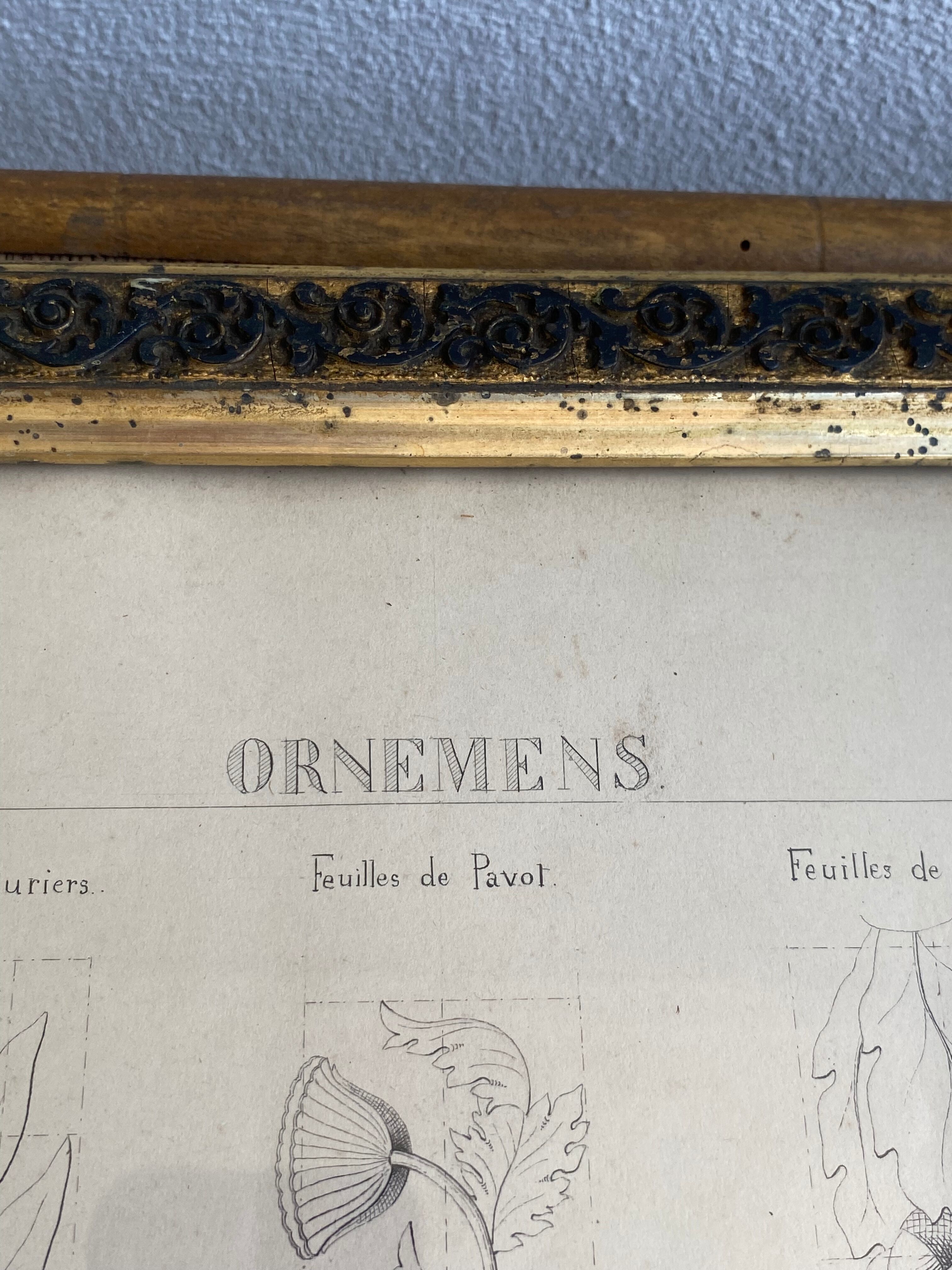 Architectural drawing 1857, glazed wood frame