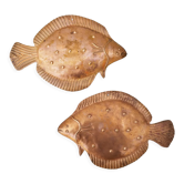 Venetian fish copper vintage decoration